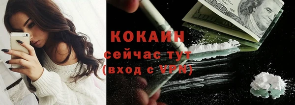 индика Ладушкин
