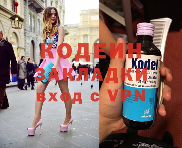 индика Ладушкин