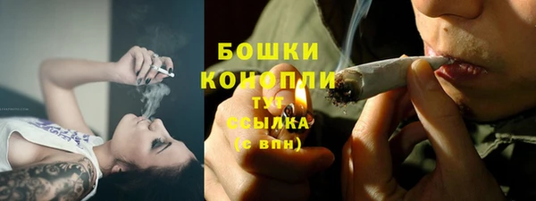 spice Лагань