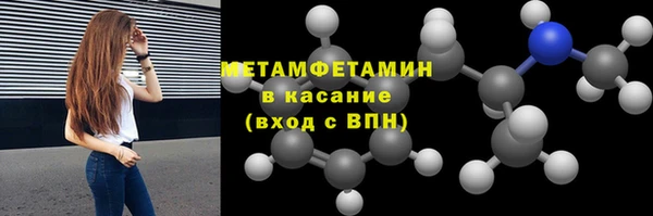 индика Ладушкин