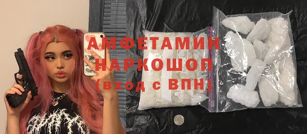 индика Ладушкин