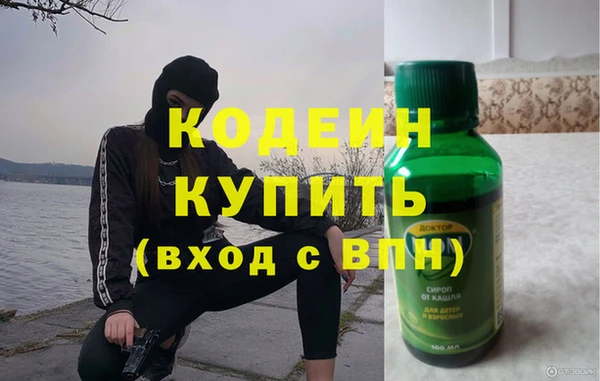 индика Ладушкин