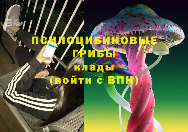 индика Ладушкин