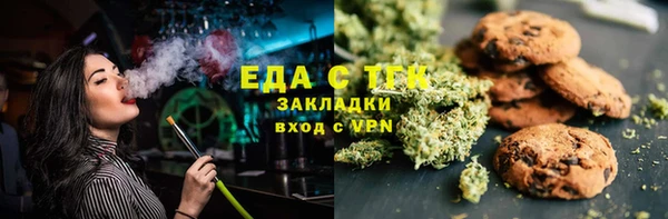 индика Ладушкин