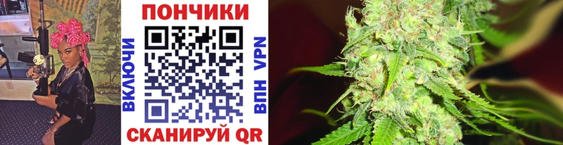Шишки марихуана ГИДРОПОН Купить Белозерск